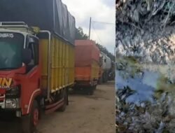 Limbah Hitam dan Bau Menyengat Warga Tanjung Bintang Teriak soal Gudang Minyak ilegal
